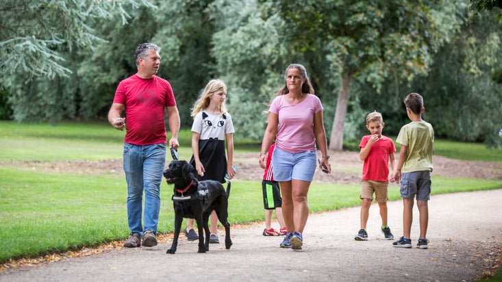 Visitors on a summer walk with their dog in the ground of Shugborough Estate, Staffordshire